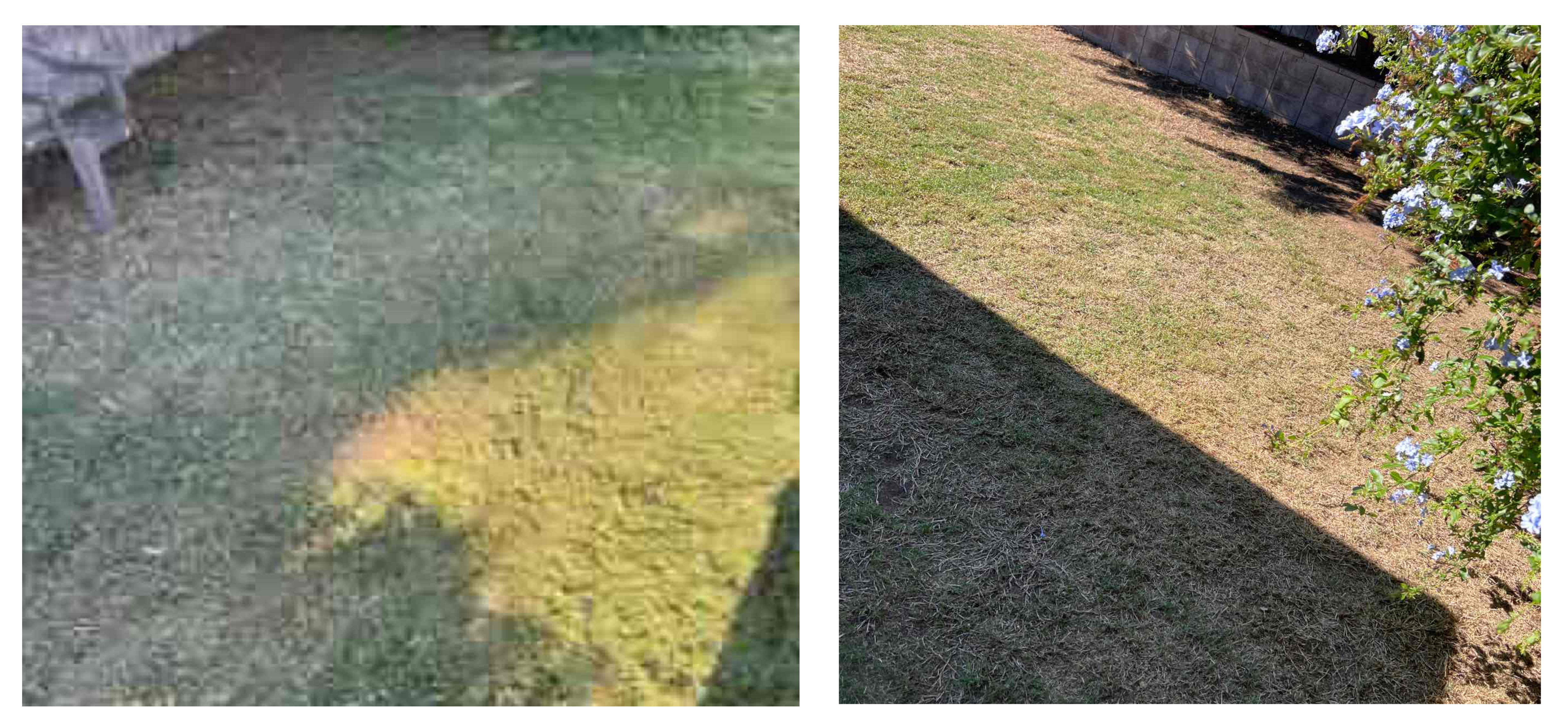 blurry_photo_comparison_pro_app_.png